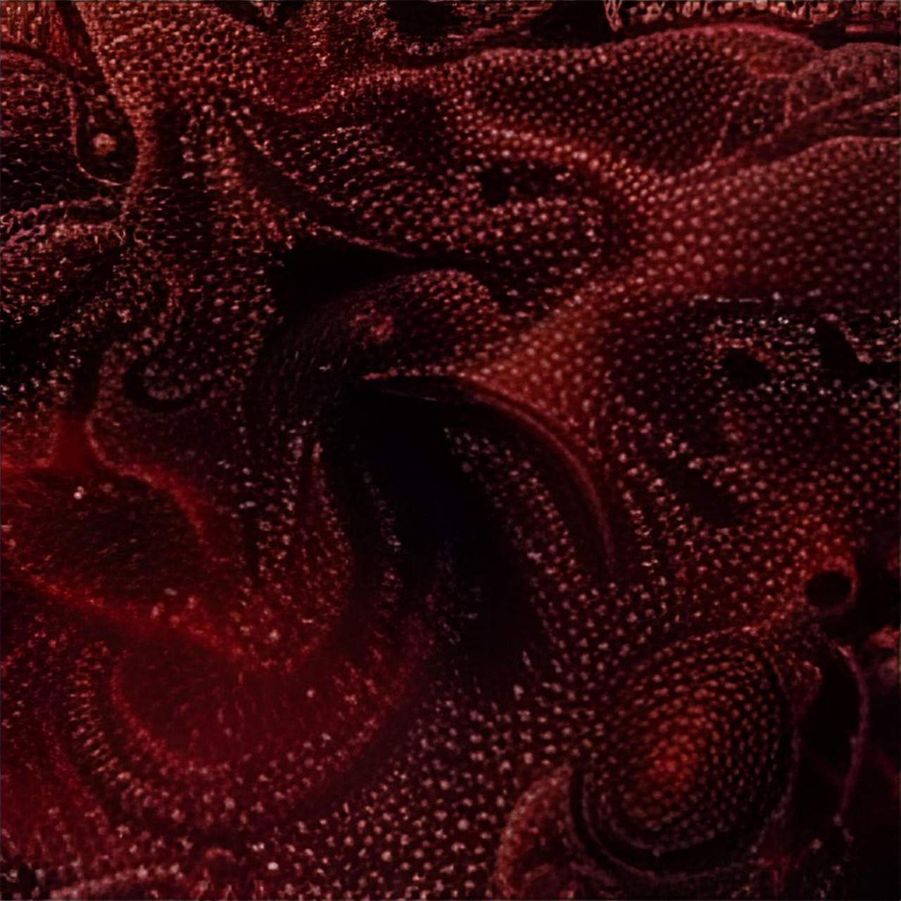Download free HD stock image of Abstract Background Free abstract background fractal illustration