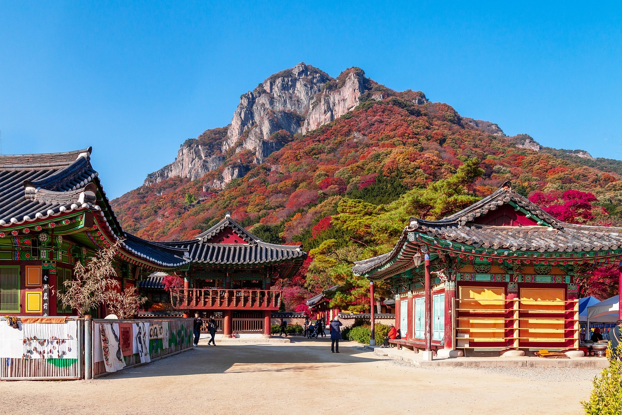 법주사 입장료는 없어졌는데 주차비는 내야해요, 2026 속리산 단풍 제대로 보는 법