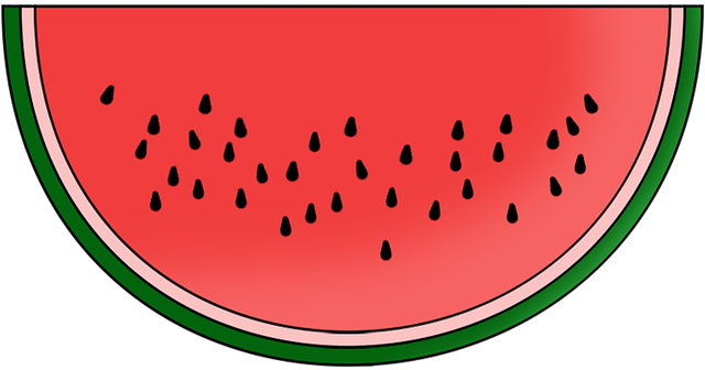Free watermelon slice fruit illustration