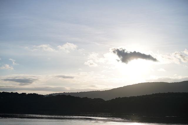 Free Lake Fog photo and picture