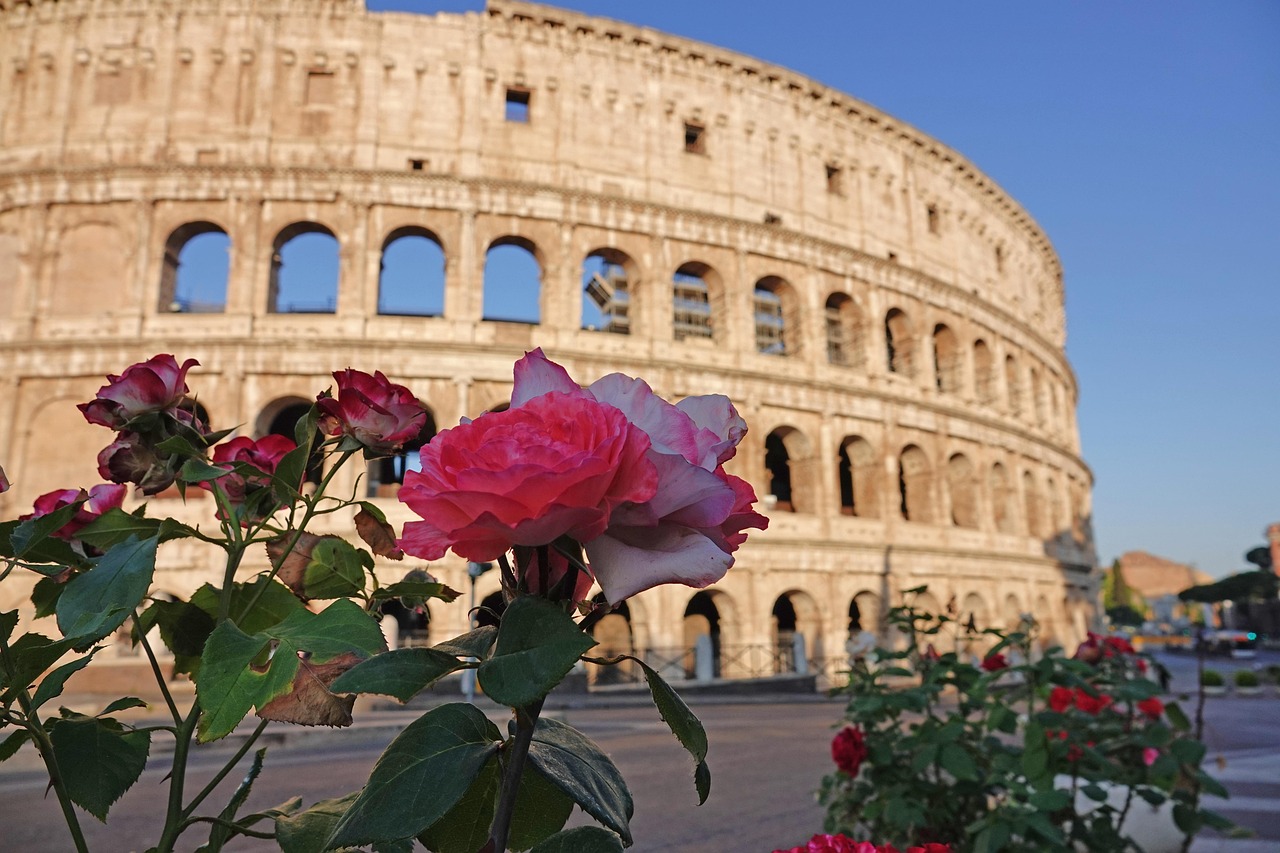 Roos Rome Colosseum Roos Bloemen - Gratis foto op Pixabay - Pixabay