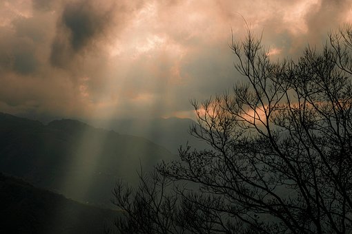 Céu, Nuvens, Árvore, Luz Solar, Natureza
