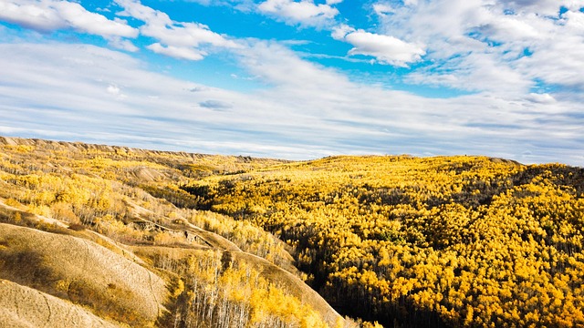 Free Nature Wilderness photo and picture