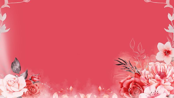 Fondo De La Flor, Fondo Rosa, Tarjeta
