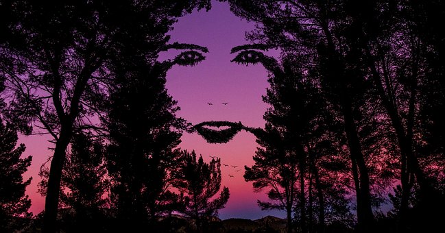 Free Woman Forest photo and picture