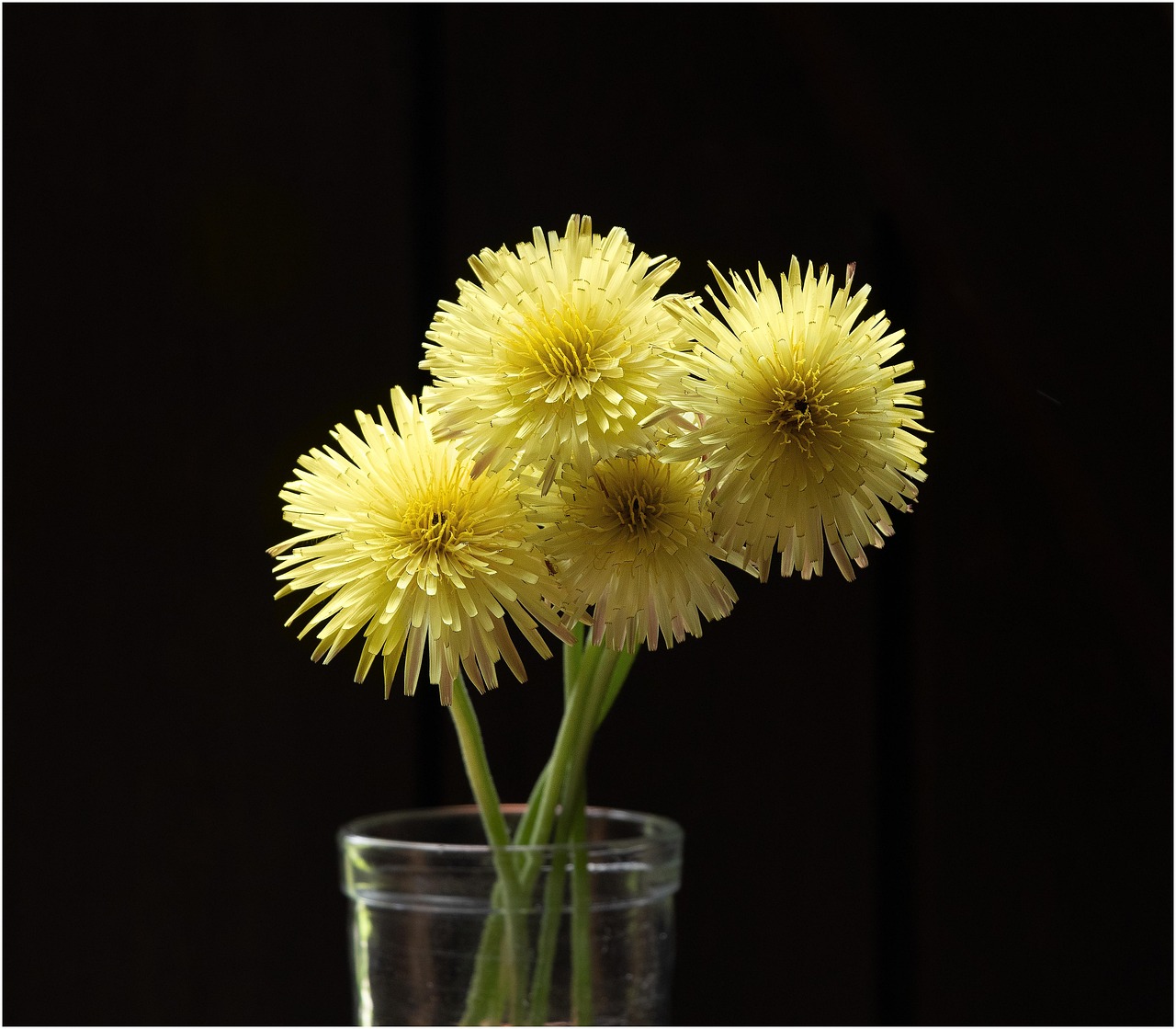 Flowers Yellow Flower Vase Free photo on Pixabay Pixabay