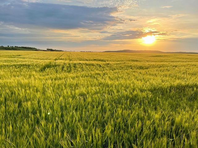 Free Sunrise Landscape photo and picture
