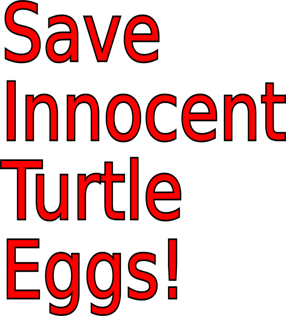 Schildpad, Natuur, Eieren, Onschuldig