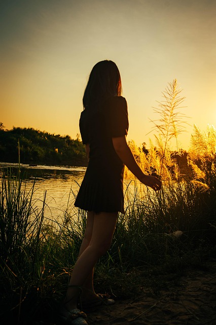 Free Sunset Twilight photo and picture