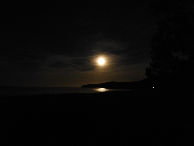 Céu Noturno Lua Mar - Foto gratuita no Pixabay - Pixabay