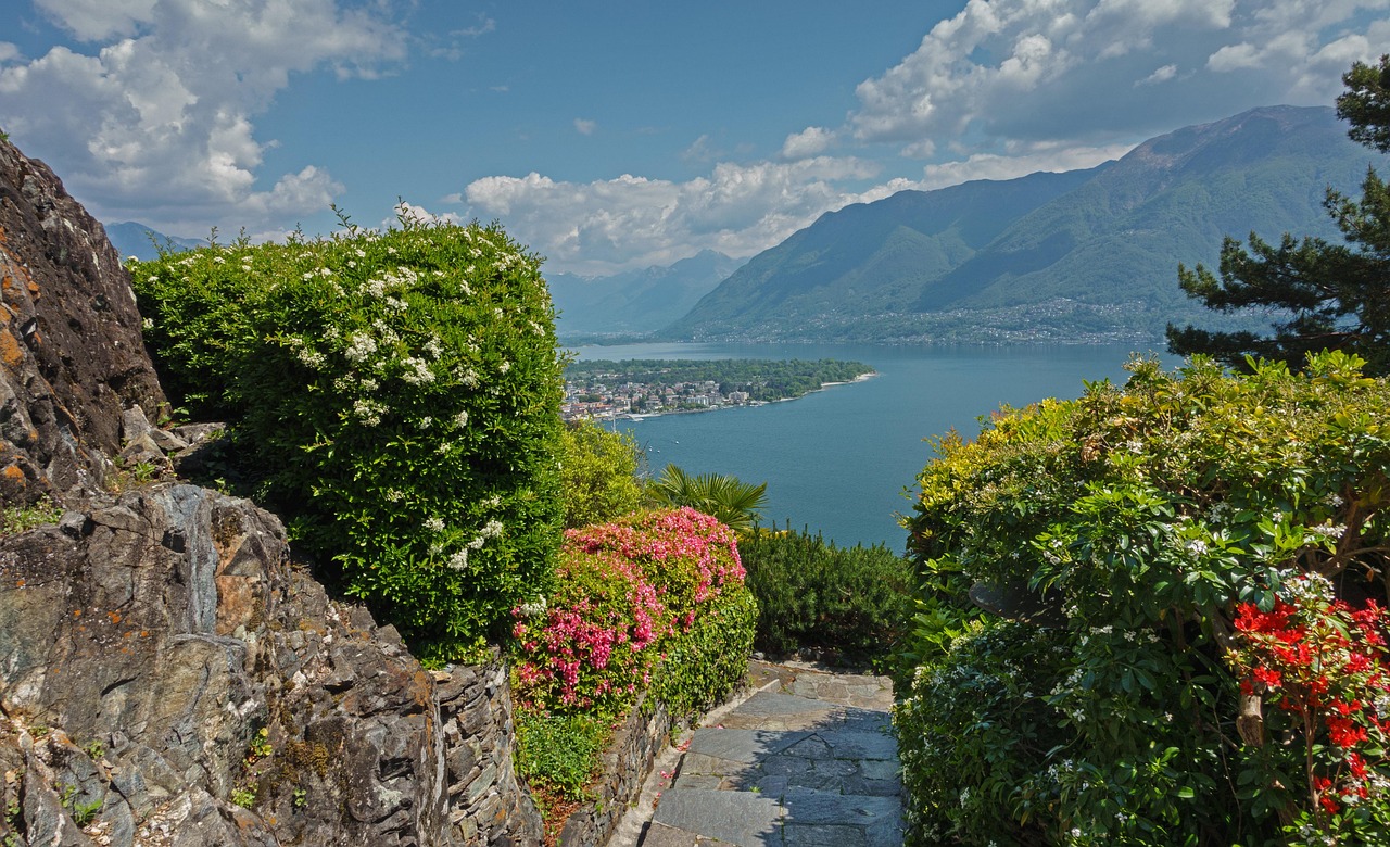 https://cdn.pixabay.com/photo/2022/05/21/08/20/brissago-7210969_1280.jpg