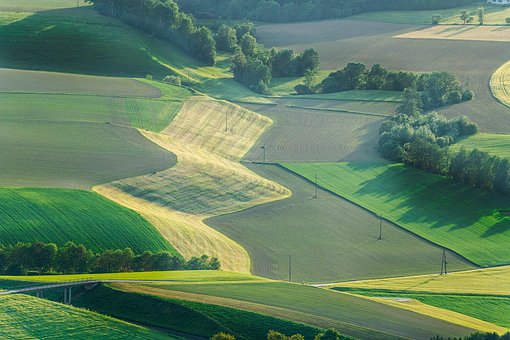 Free Grain Export photo and picture