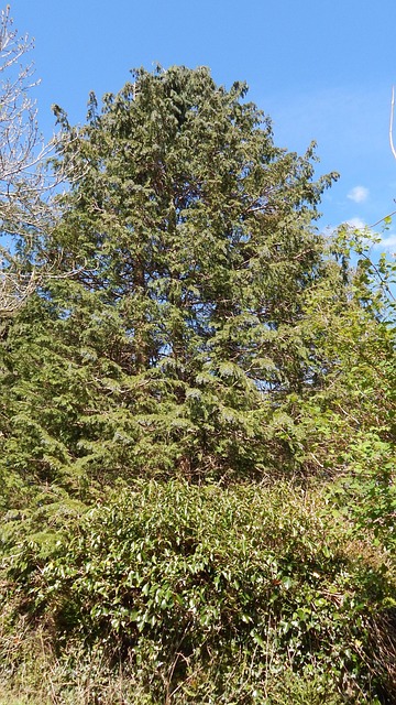 Free Nature Rural photo and picture