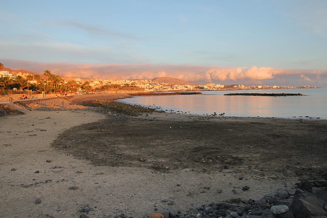 Free Tenerife Canary Islands photo and picture