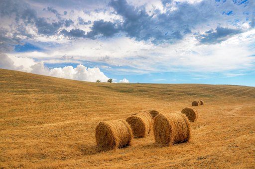 Feld, Heuballen, Natur, Himmel, Wolken