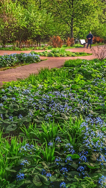 Der Park, Garten, Urlaub, Menschlich
