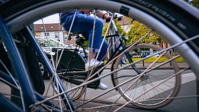 Free Vehicle Bicycle photo and picture