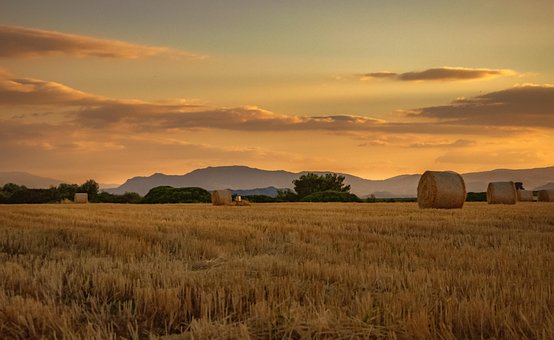 Feld, Sonnenuntergang, Ackerland, Himmel