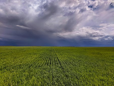 Free Field Summer photo and picture