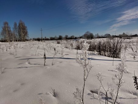 Free Winter Freezing photo and picture