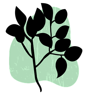 Free Ash Branch illustration and picture