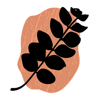 Free Fern Black illustration and picture
