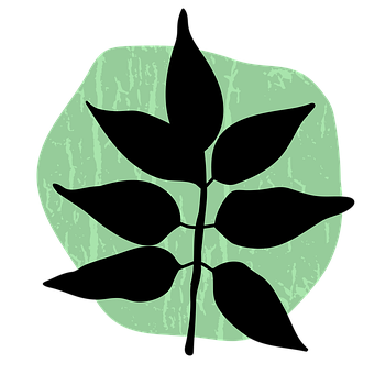 Free Tree Branch illustration and picture