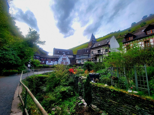 Free Bacharach Rhine photo and picture
