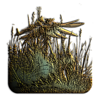 Free Grass Meadow illustration and picture