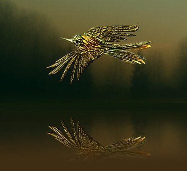 Free Bird Water photo and picture