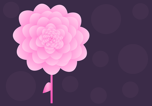 Hilsen, Rosa Blomst, Kunst, Vakker Tapet
