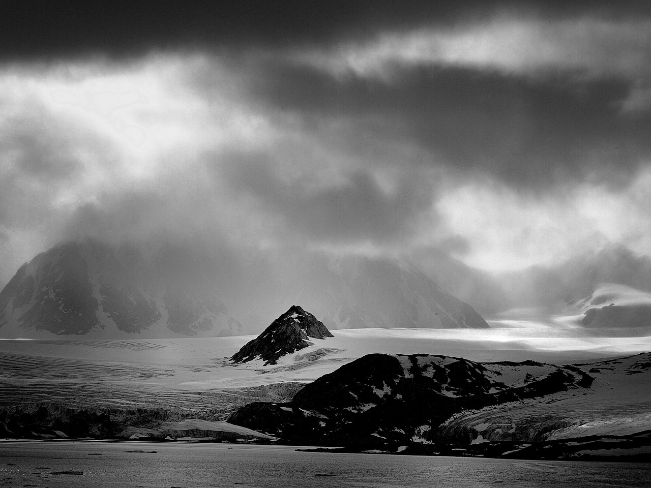 Svaleard 200+ Free Svalbard Grouse & Svalbard Images - Pixabay