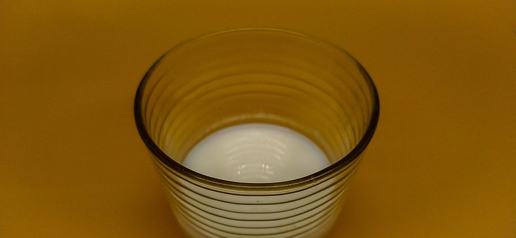 Free Yogurt Food photo and picture
