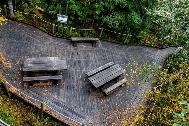 Free Overview Boardwalk photo and picture