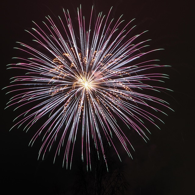 Free Fireworks Night photo and picture