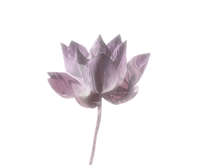 Free lotus abstract clipart illustration