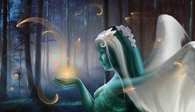 Free magic forest enchanted illustration