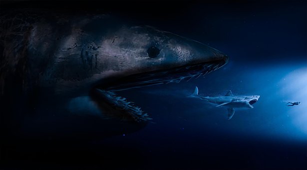Free Shark Jaw illustration and picture