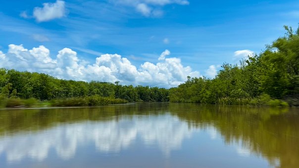 See, Fluss, Sumpf, Wasser, Natur, Wolken
