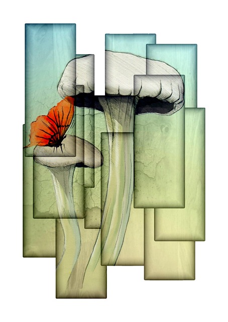 Download free HD stock image of Mushroom Butterfly Free mushroom butterfly painting illustration