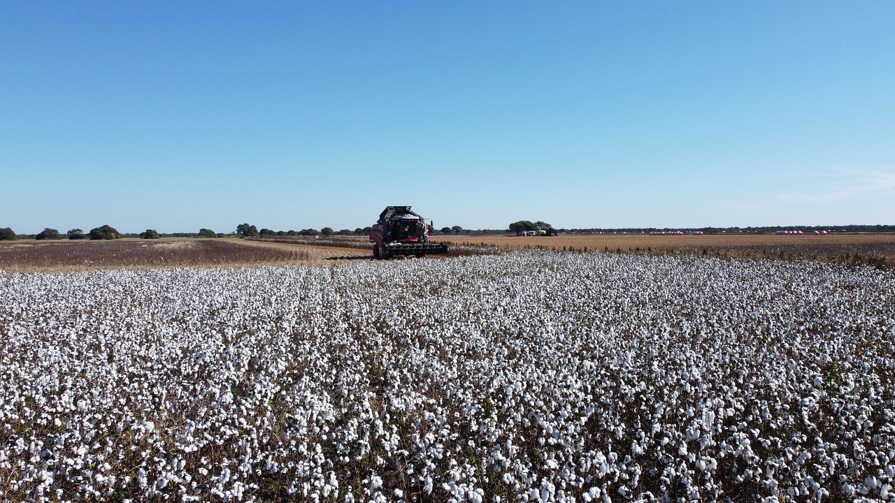 Cotton Farm Argentina Machinery Free photo on Pixabay Pixabay