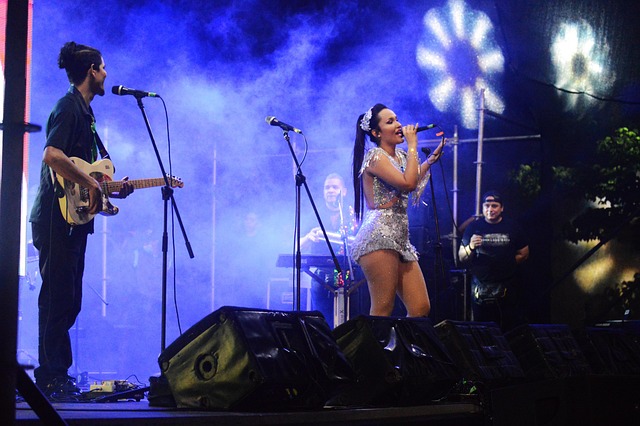 Sänger, Konzert, Festival, Kultur