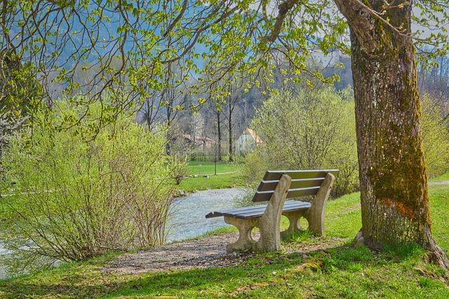 Free River Park photo and picture