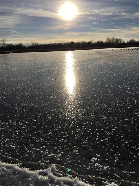 Free Winter Sun photo and picture