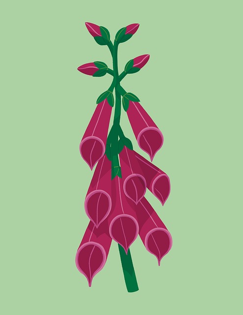 Blomst, Natur, Vår, Bloom, Blomster