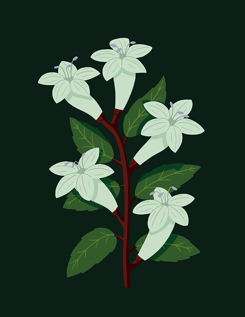 Blomster, Vår, Grønn, Å Blomstre, Hvit