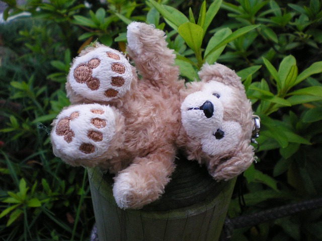 Toys Plush Teddy Bear - Free photo on Pixabay - Pixabay