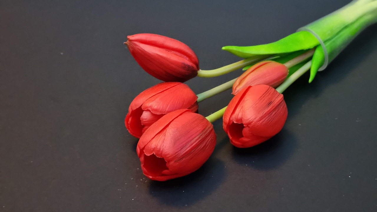 Tulips - free online jigsaw puzzle photo