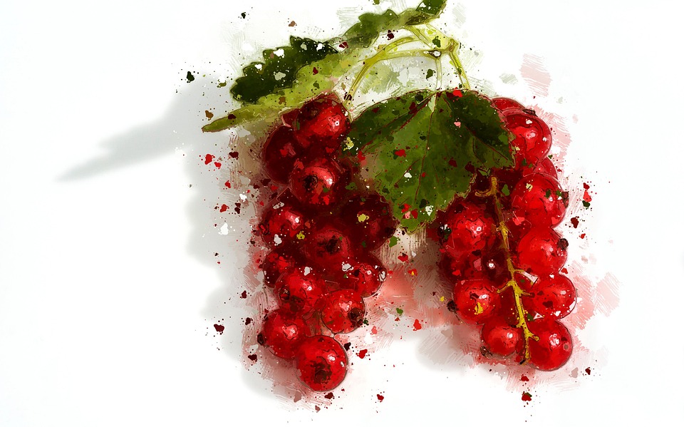 Grosellas Rojo Fruta - Imagen gratis en Pixabay