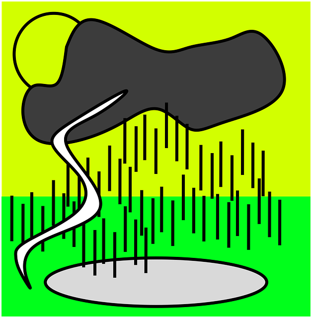 Free storm lighting thunderstorm vector
